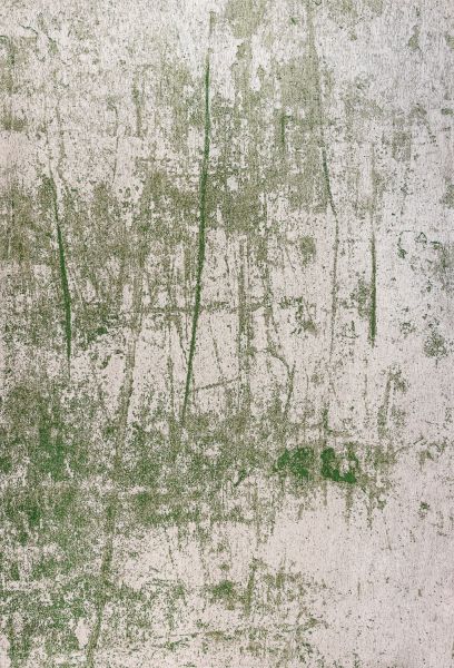 Бельгийский ковер из полиэфирного шёлка «SHINY FEATHER» 9489-PIQUANT GREEN 170 x 240 см