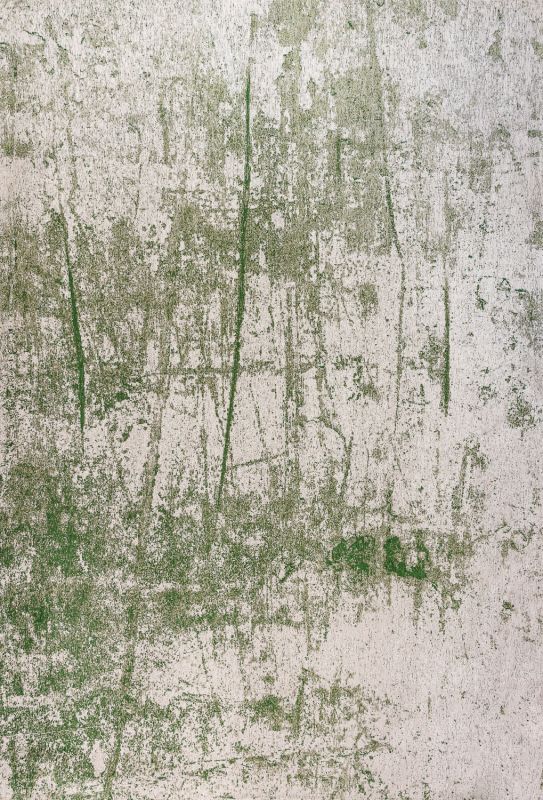 Бельгийский ковер из полиэфирного шёлка «SHINY FEATHER» 9489-PIQUANT GREEN 170 x 240 см Бельгийский ковер из полиэфирного шёлка «SHINY FEATHER» 9489-PIQUANT GREEN 170 x 240 см