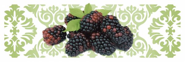 Беррис 2 Декор 100*300 (Ежевика) (1*16)