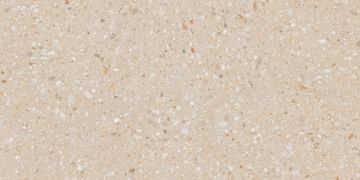 Керамогранитная плитка AG22 60x120x10 Неполированный