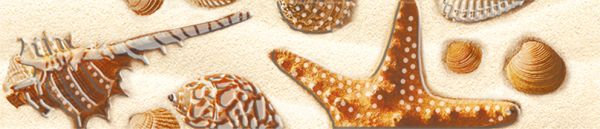 Керамическая плитка Фиджи Бордюр  75*350 сортовой (1*28)  ВКЗ (Волгоград)  для ванной комнаты