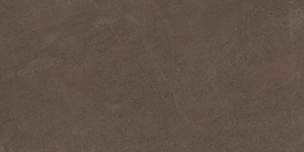 Керамогранит Gobi Brown Grey 600x1200 неполированный ректификат GO03