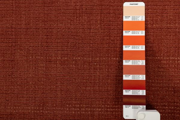 Индийский ковер из кашемира и эвкалиптового шёлка «CASHMERE & SILK» PLAIN-J001-5D06 248 x 346 см Индийский ковер из кашемира и эвкалиптового шёлка «CASHMERE & SILK» PLAIN-J001-5D06 248 x 346 см