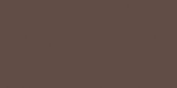 Керамогранитная плитка RW04 80x160x11 Неполированный