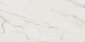 Керамогранитная плитка ID01 60x120x10 Полированный