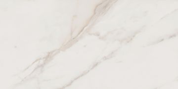 Керамогранитная плитка ID01 60x120x10 Полированный