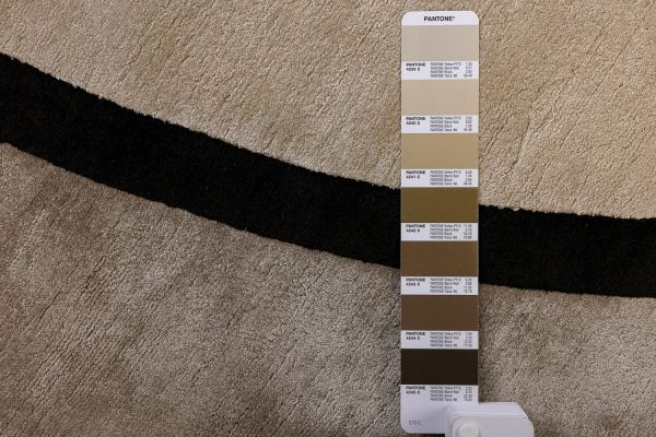 Индийский ковер из шёлка «SILK BORDER» V9-MLT(Round) 255 x 255 см Индийский ковер из шёлка «SILK BORDER» V9-MLT(Round) 255 x 255 см