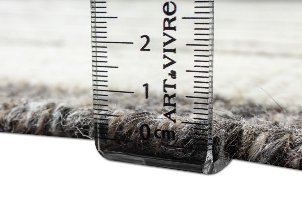 Индийский ковер из шерсти «SORRENTO» RILEY3B-IVORY 242 x 341 см Индийский ковер из шерсти «SORRENTO» RILEY3B-IVORY 242 x 341 см