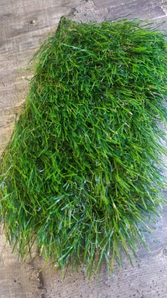 Искусственная трава AUGUST GREENECO 50мм/2м