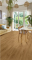 LVT плитка ROOTS Laurel Oak 51822BE 2,5мм/0,55 клеевая V4
