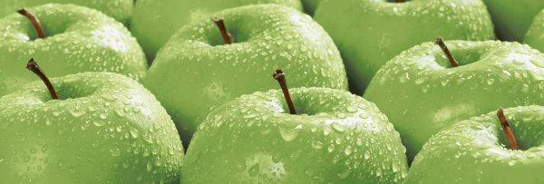 Яблоки Декор 100*300 (1*16)