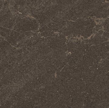 Керамогранитная плитка GB04 60x60x10 Неполированный