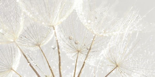 Джаз Декор 250*500 (1*7) VINCHI