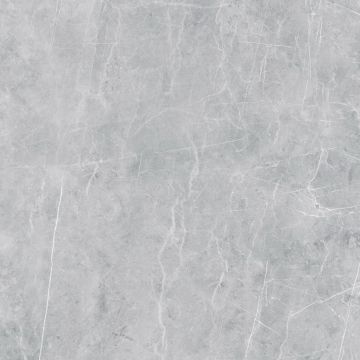 Керамогранитная плитка VS02 80x80x11 Неполированный