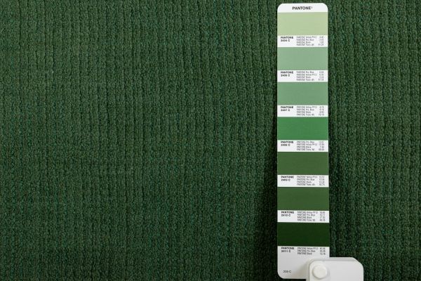 Индийский ковер из кашемира и эвкалиптового шёлка «CASHMERE & SILK» PLAIN-I143-3C12 248 x 347 см