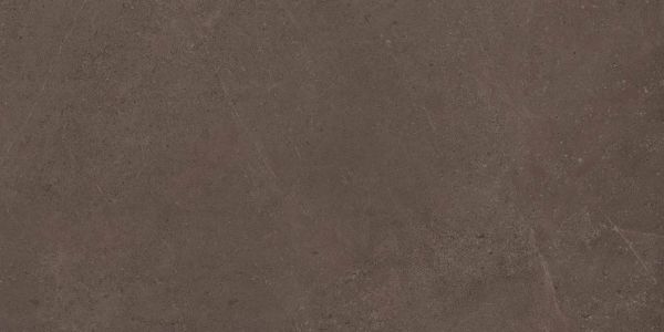 Керамогранит Gobi Brown Grey 600x1200 неполированный ректификат GO03