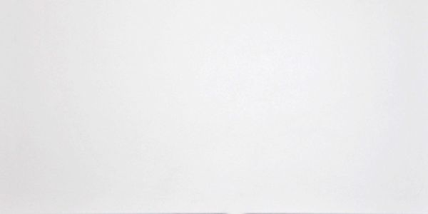 Керамогранит Домино (Domino) 300x600 белый G-100/MR