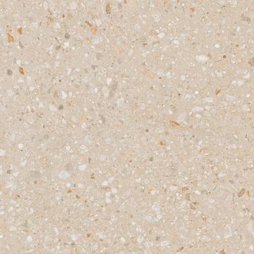Керамогранитная плитка AG22 60x60x10 Неполированный