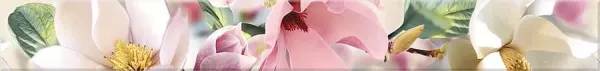 Бордюр настенный Boho Magnolia 75x630 розовый