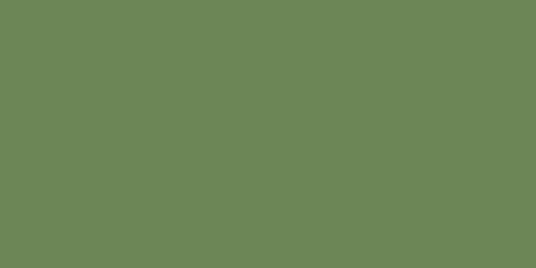 Керамогранит Feeria (Феерия) 600x600 зеленый GTF475
