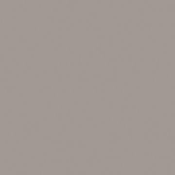 Керамогранитная плитка RW03 80x80x11 Неполированный