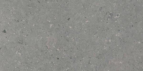 Керамогранит Аркаим (Arkaim) 600x1200 матовый серый G213MR