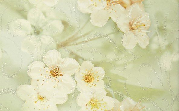 Сакура зеленый Декор 01 250*400 (1 сорт) Шахтинская плитка