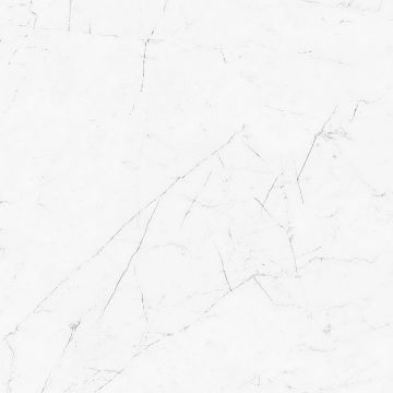 Керамогранитная плитка VS01 60x60 Неполированный