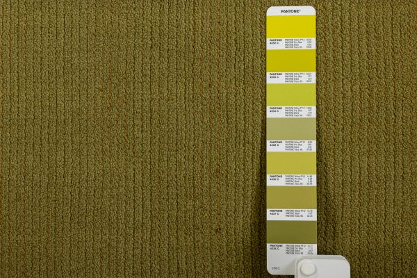 Индийский ковер из кашемира и эвкалиптового шёлка «CASHMERE & SILK» PLAIN-I038-3E04 249 x 350 см Индийский ковер из кашемира и эвкалиптового шёлка «CASHMERE & SILK» PLAIN-I038-3E04 249 x 350 см