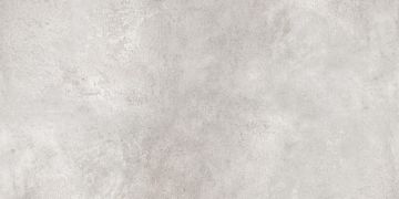 Керамогранитная плитка TF01 60x120x10 Неполированный