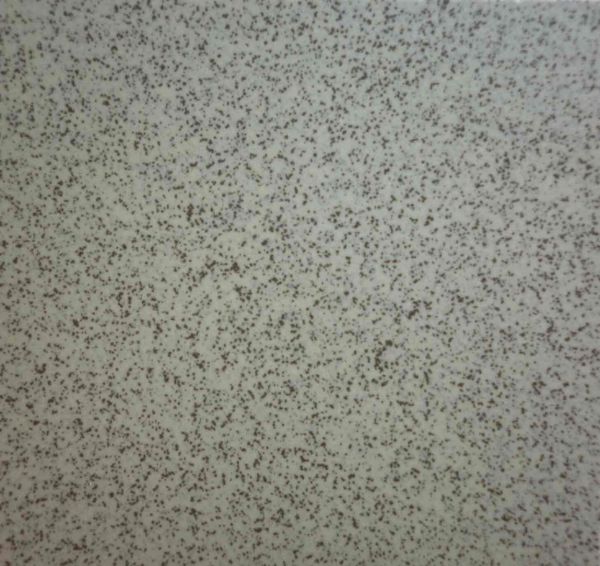 Керамогранит СТ310 Керамогранит 300*300 св-коричневый калиброванный (0,09*17=1,53*52) Пиастрелла СТ310