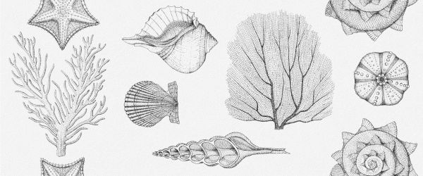 Керамическая плитка Aqua white wall 01 250х600 (0,15*8=1,2*48) (1-й сорт) Gracia Ceramica  для ванной комнаты