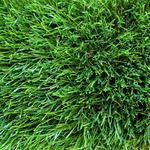 Искусственная трава DECO 50мм/2м, КМ2, основа резина