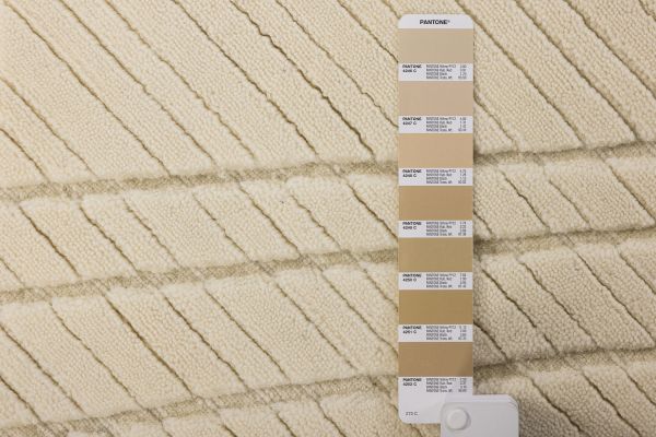 Индийский ковер из шерсти «KASHMIR» 2023266-OFF WHITE 165 x 236 см