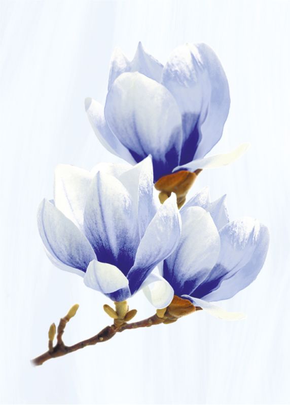 Керамическая плитка Агата Декор 250*350 голубой сортовой (1*15) ВКЗ (Волгоград)  для ванной комнаты