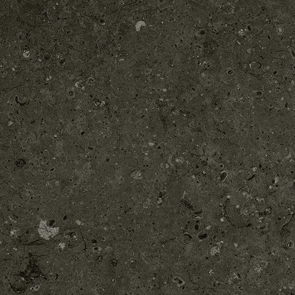 Керамогранит Аркаим (Arkaim) 600x600 черный матовый G215MR