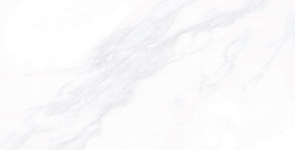 Керамогранит Пайер (Payer) 600x1200 полированный элегант G281PR