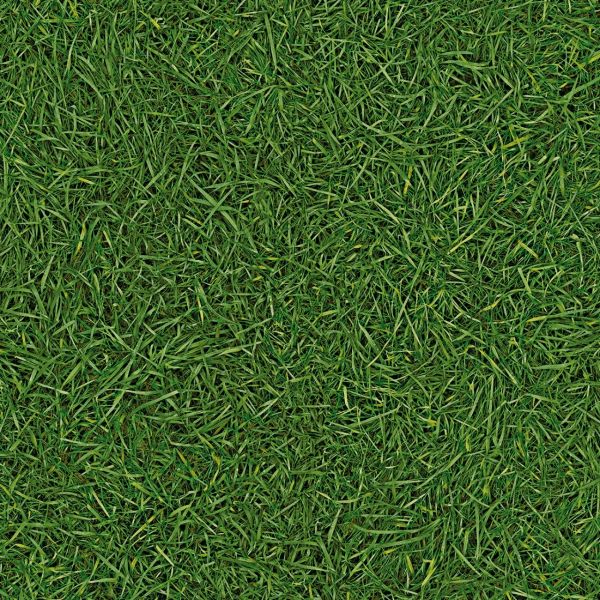 Линолеум IVC VISION Grass T25 2,2мм/0,4мм/2,5м полукоммерческий, КМ2