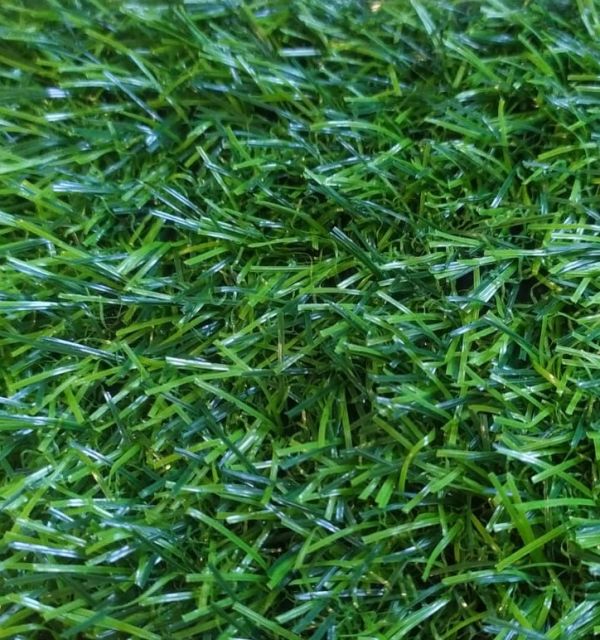 Искусственная трава ECOGREEN 20мм/2м