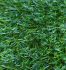 Искусственная трава ECOGREEN 20мм/2м