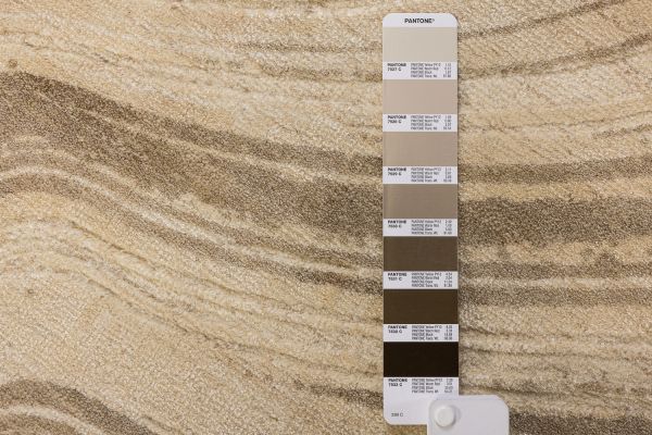 Индийский ковер из арт-шёлка и шерсти «EVEREST» 2023309-TAN 162 x 240 см Индийский ковер из арт-шёлка и шерсти «EVEREST» 2023309-TAN 162 x 240 см