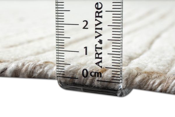 Индийский ковер из шерсти и хлопка «SORRENTO» RILEY1830-CREAM 245 x 345 см Индийский ковер из шерсти и хлопка «SORRENTO» RILEY1830-CREAM 245 x 345 см