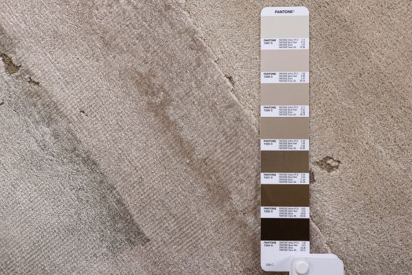 Индийский ковер из шерсти и арт-шёлка «CHAOS THEORY» ESK330-WHITE-D.IVORY 249 x 305 см Индийский ковер из шерсти и арт-шёлка «CHAOS THEORY» ESK330-WHITE-D.IVORY 249 x 305 см