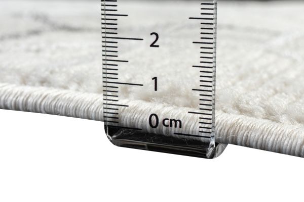 Турецкий ковер из полиэстера и полипропилена «PASTORAL» 26270B-CRE-CRE(Runner) 100 x 300 см Турецкий ковер из полиэстера и полипропилена «PASTORAL» 26270B-CRE-CRE(Runner) 100 x 300 см