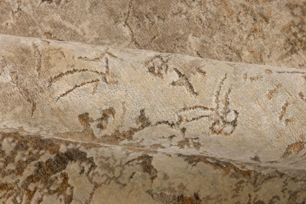 Индийский ковер из шёлка и шерсти «ILLUSION» HSP8-BROWN-ORANGE 253 x 306 см Индийский ковер из шёлка и шерсти «ILLUSION» HSP8-BROWN-ORANGE 253 x 306 см