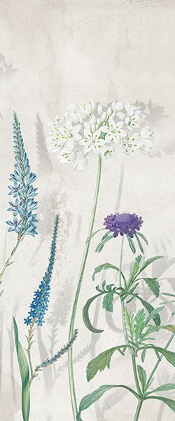 Liberty grey panno 01 500*600 (1*3) 1 сорт Gracia Ceramica