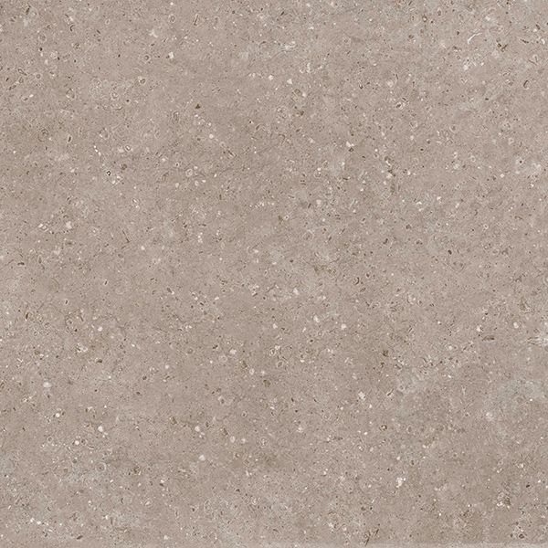 Керамогранит Аркаим (Arkaim) 600x600 бежевый матовый G212MR