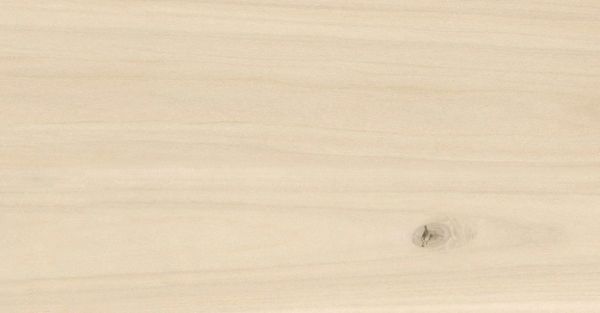 Керамогранит Select Wood Cream (R2) Zerde Tile  300*600*8,5 матовый (0,18*9=1,62*32) Шымкент Казахстан