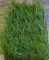 Искусственная трава MIX 40мм/4м 12000 Dtex
