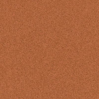 Линолеум TARKETT PRIMO PLUS 305 300021005 2мм гомогенный, коммерческий, КМ2 Линолеум TARKETT PRIMO PLUS 305 300021005 2мм гомогенный, коммерческий, КМ2